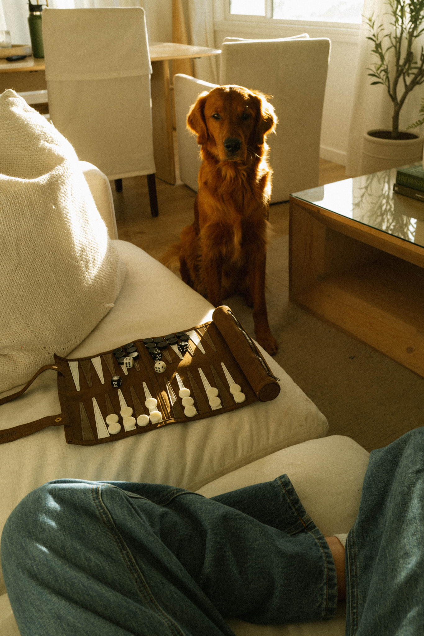 dark brown backgammon set